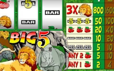 Experience Big Wins with Big 5: A Pokies Adventure!